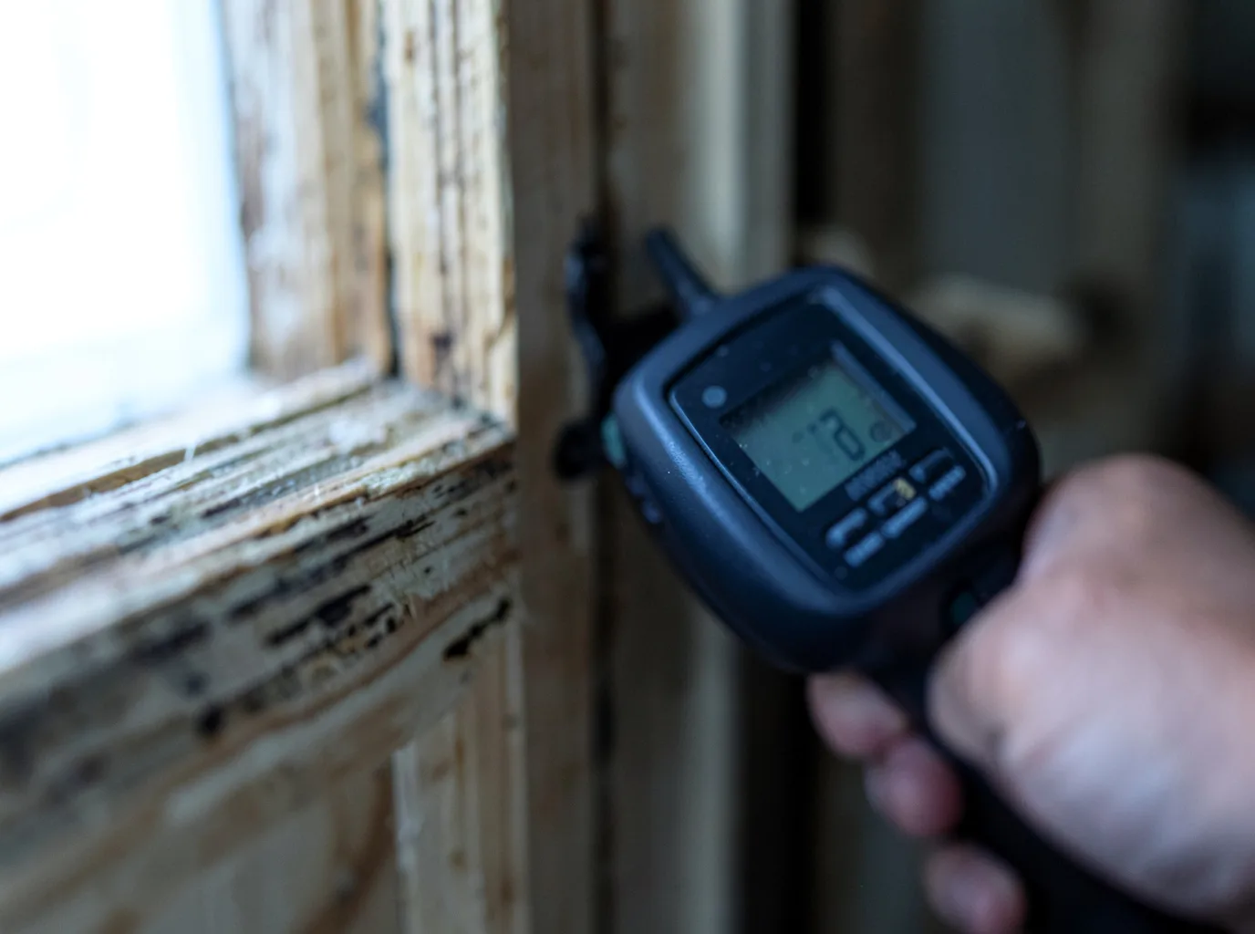 Moisture Inspection And Documentation in Custer City, PA
